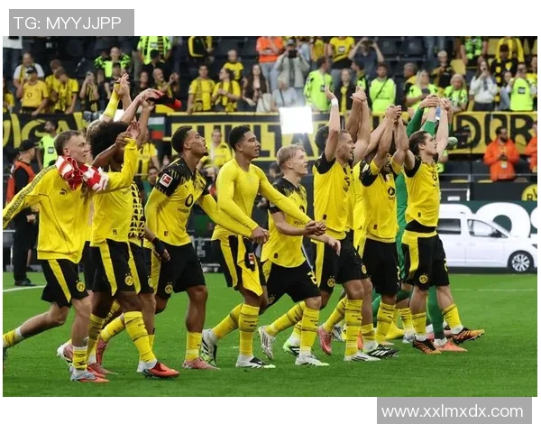 德甲精彩对决多特蒙德绝杀莱比锡全场沸腾战术解析